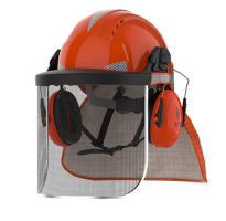 JSP EVOlite Forestry Helmet